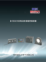 RDX100綯ܿ˵(English)